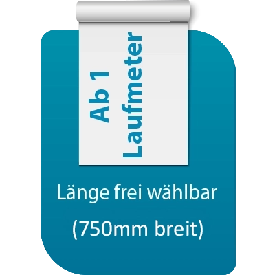 DTF Druck 750mm-länge frei wählbar